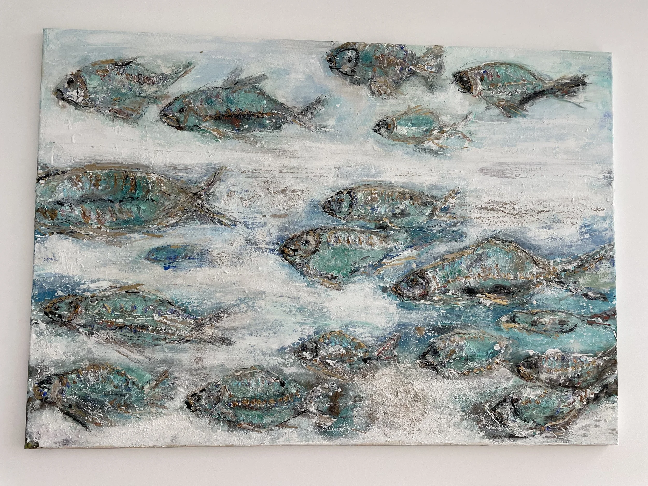 Fische (Dezember 2024)