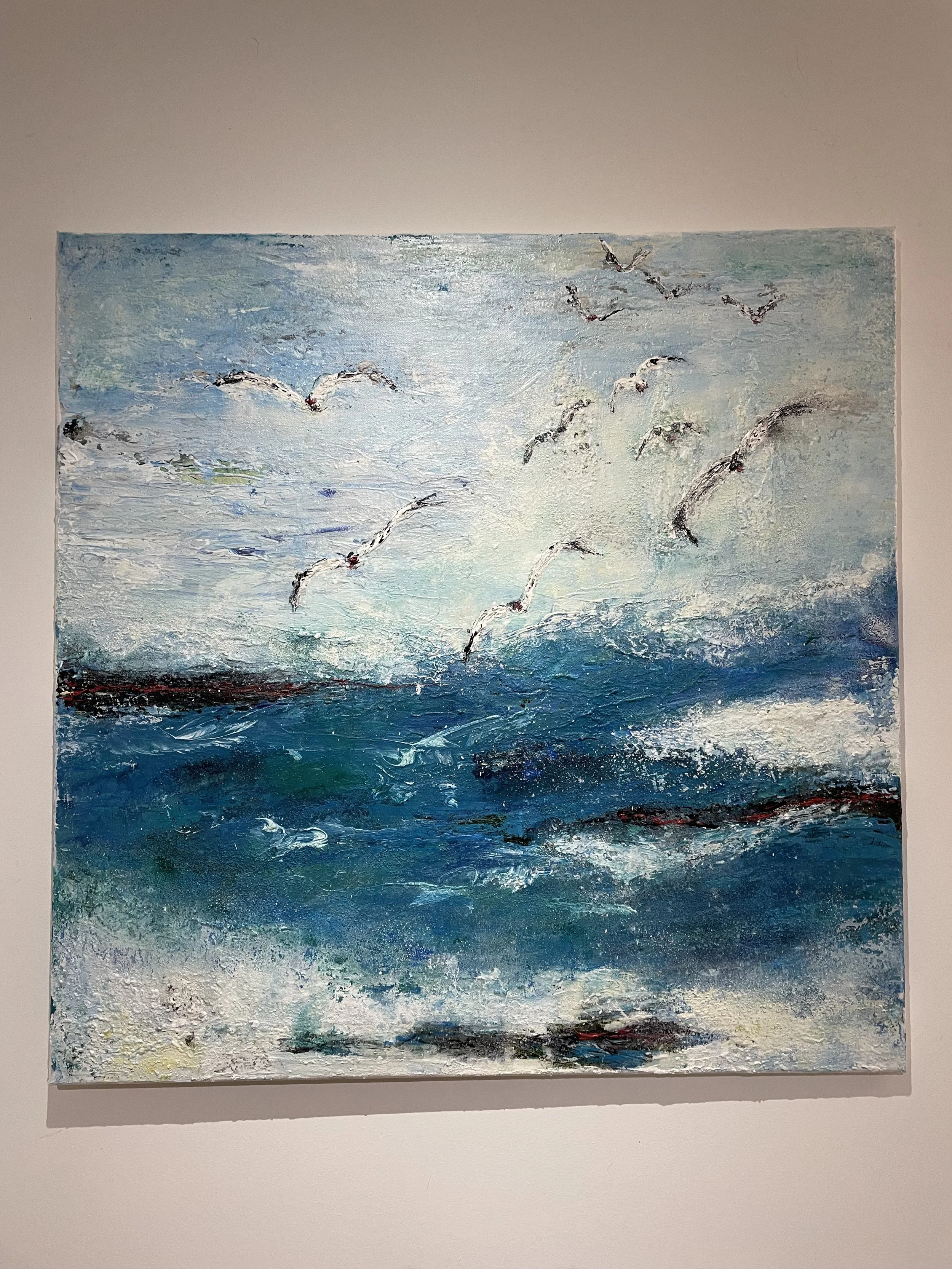 Möwen (Februar 2025)