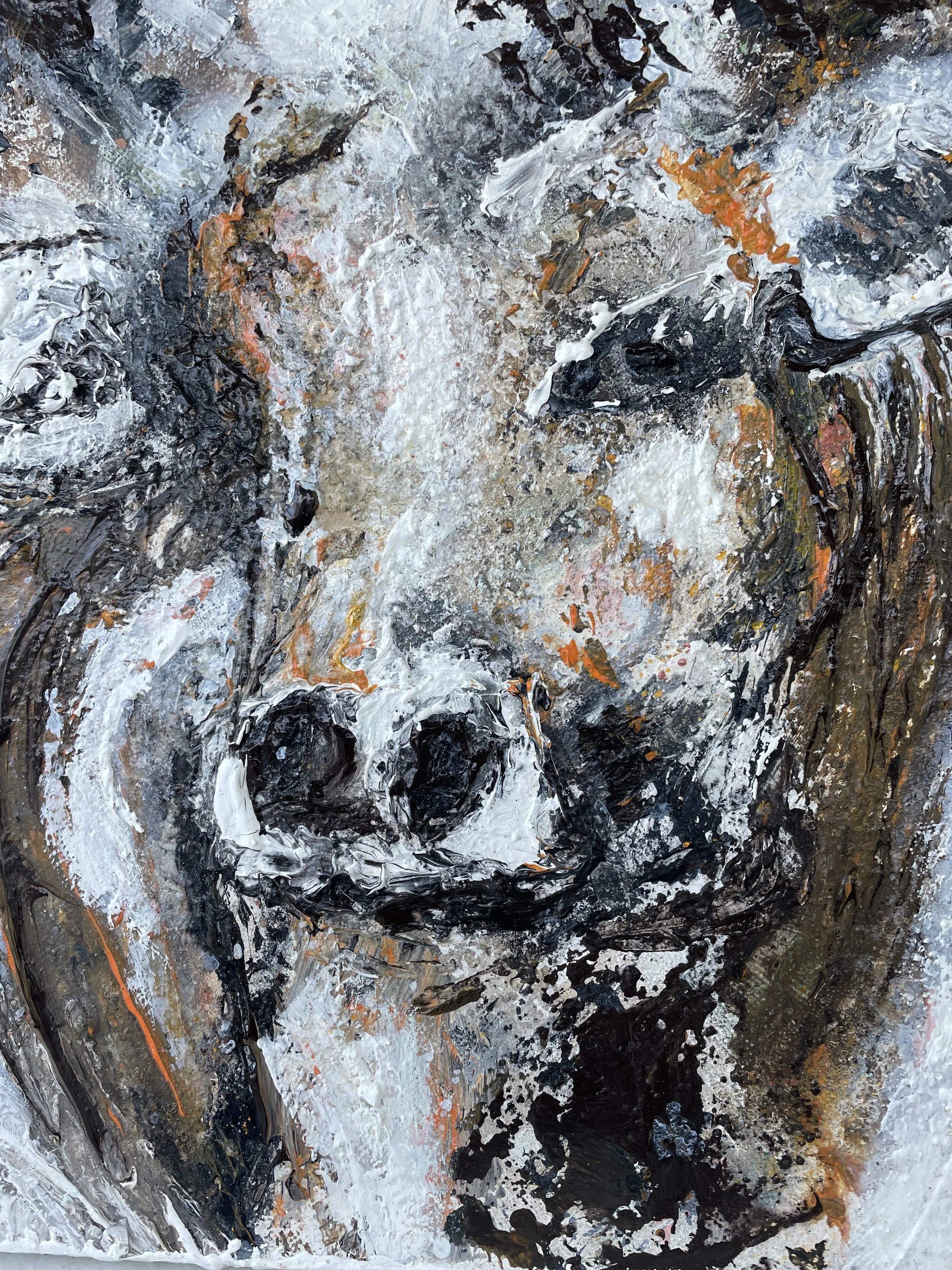 Kühe ( 3 kleine Kuhbilder)