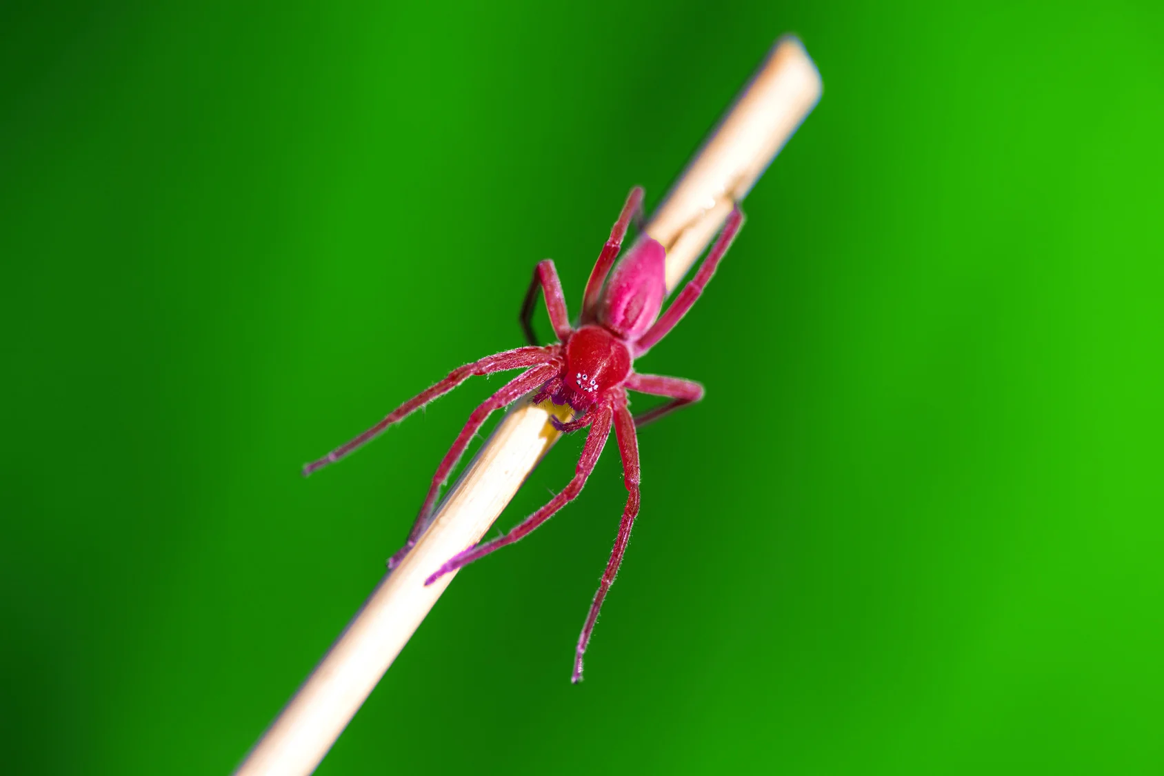 Fotolia_113791341_Subscription_Monthly_M.jpg