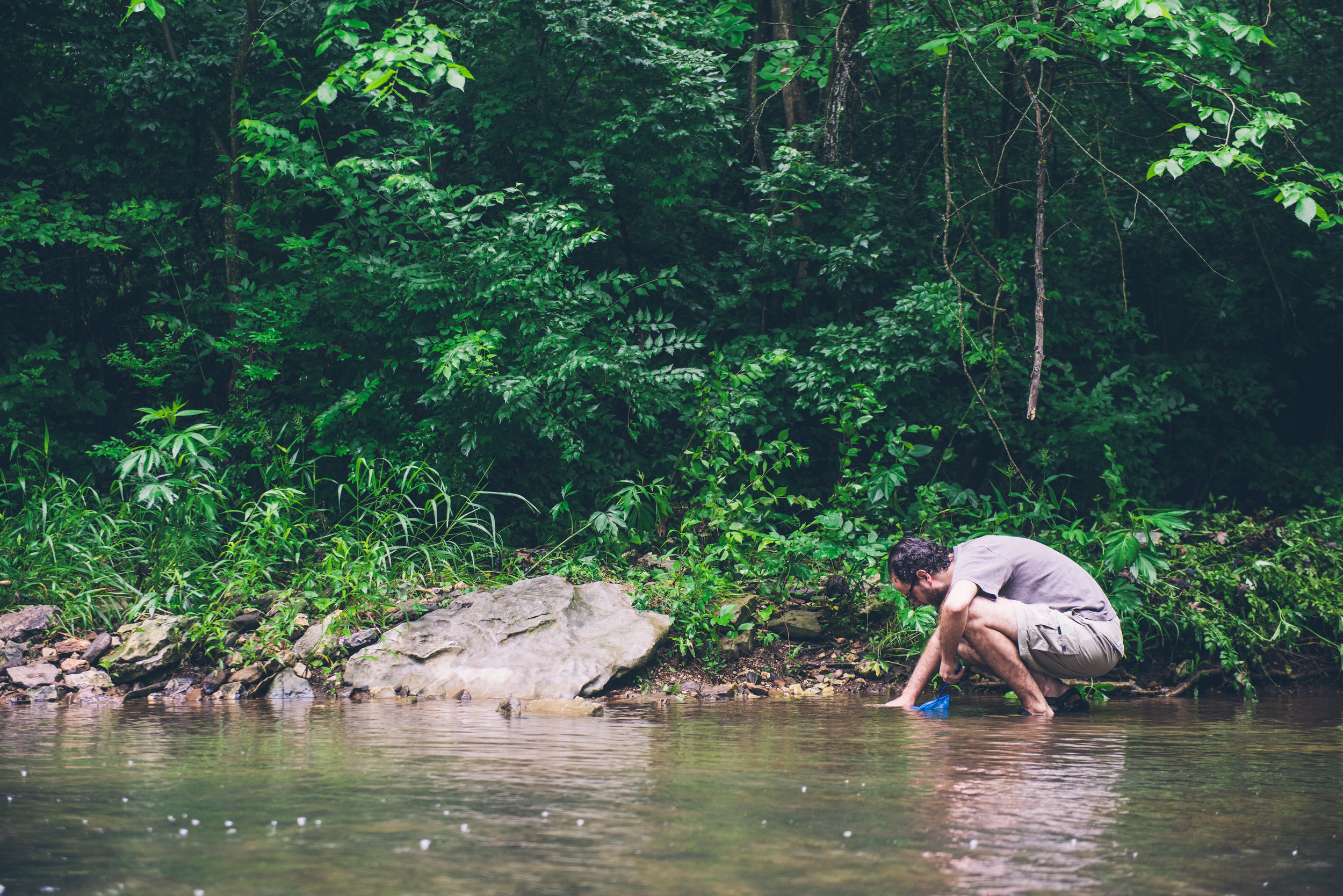 Looking for crayfish - Arkansas