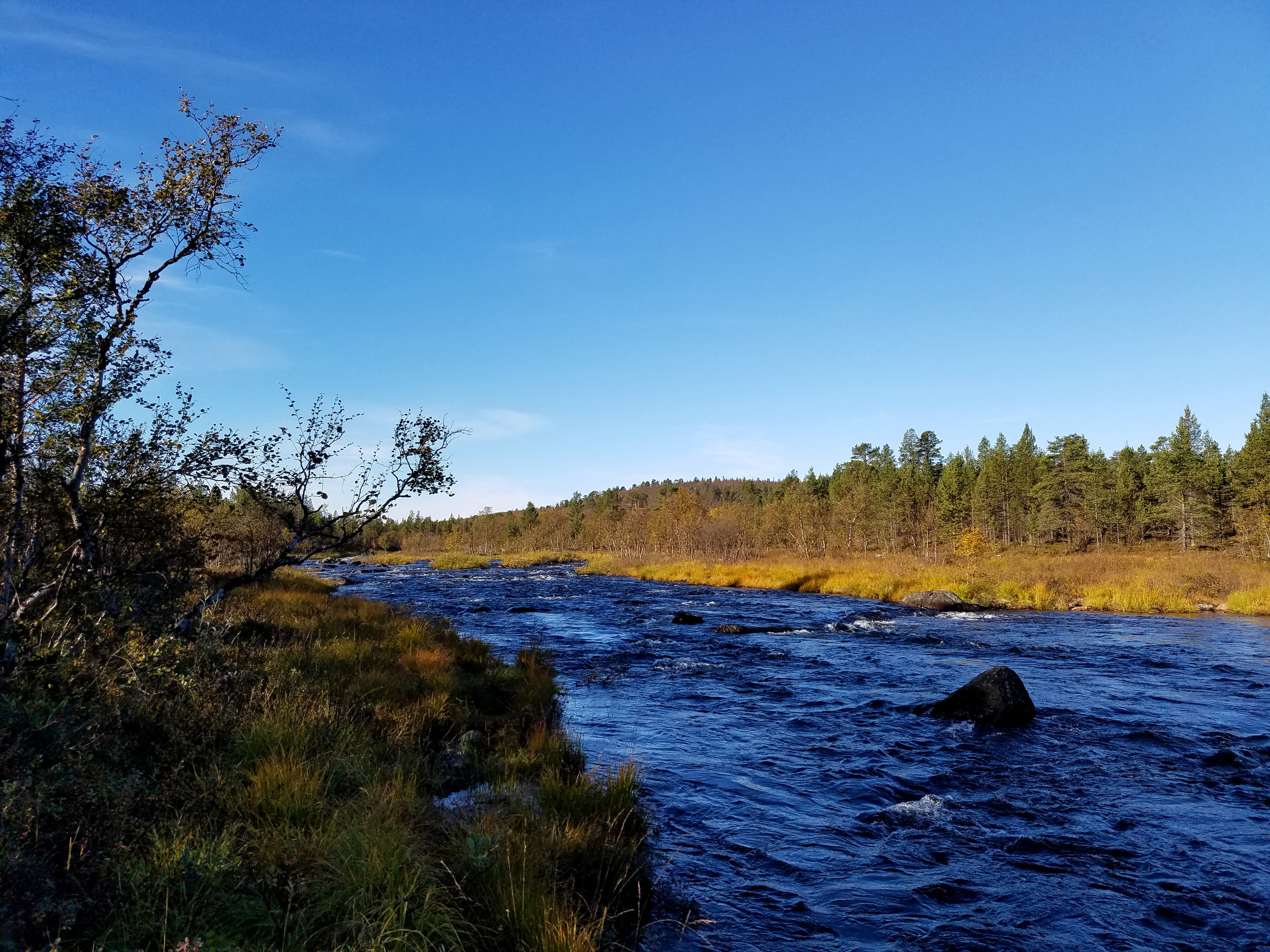 finland river.jpg