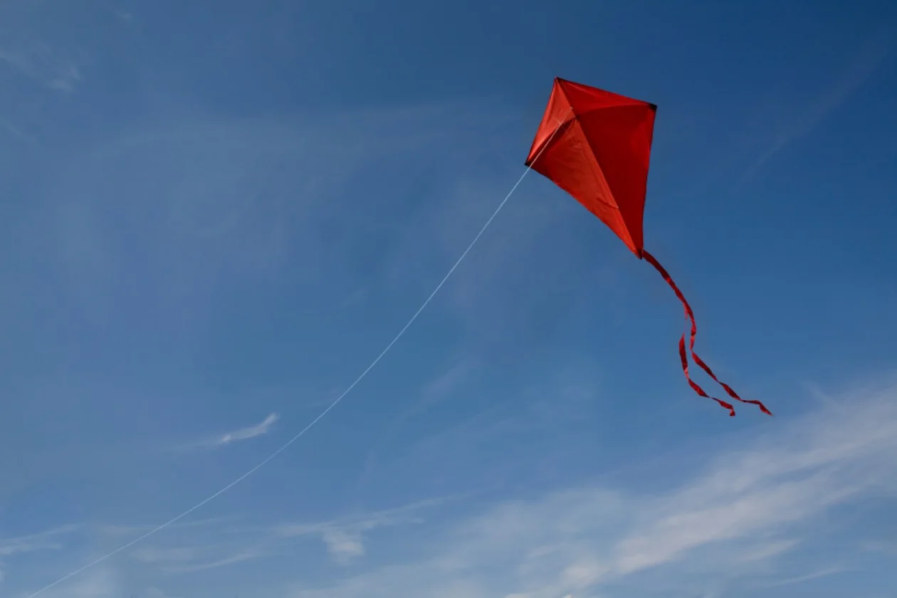 red kite.jpg