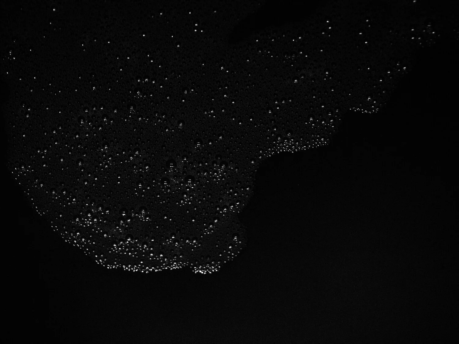 P1010107 2.jpg