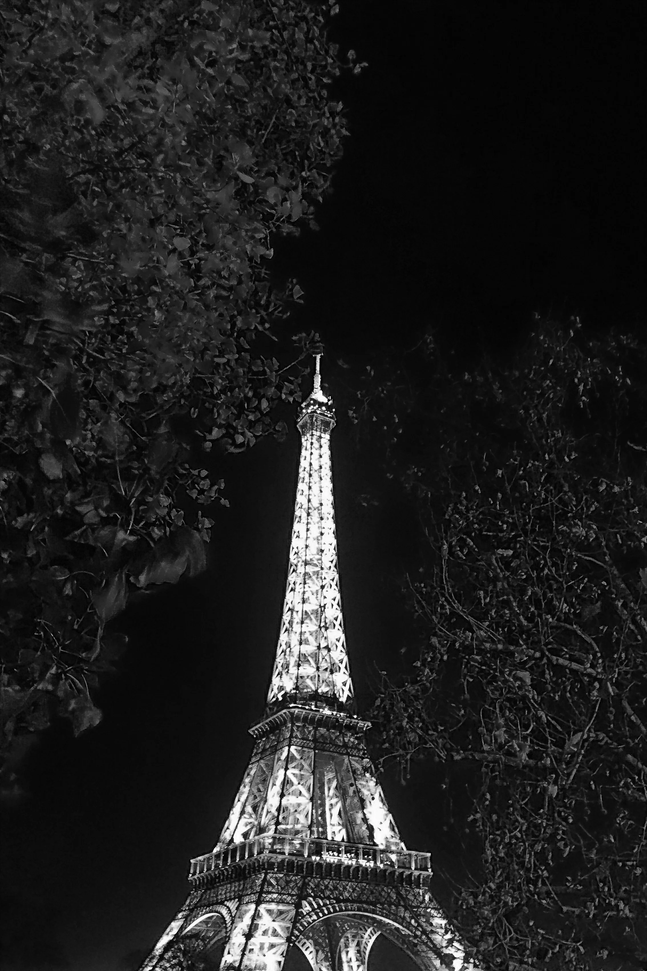 Lowlight condition Xperia Z5