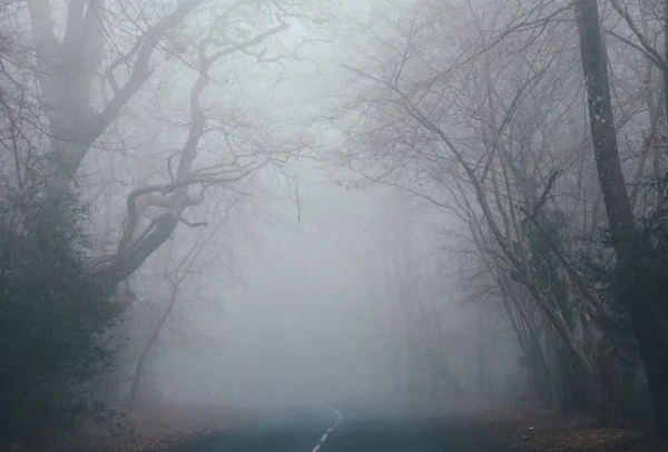Photo by Annie Spratt on Unsplash