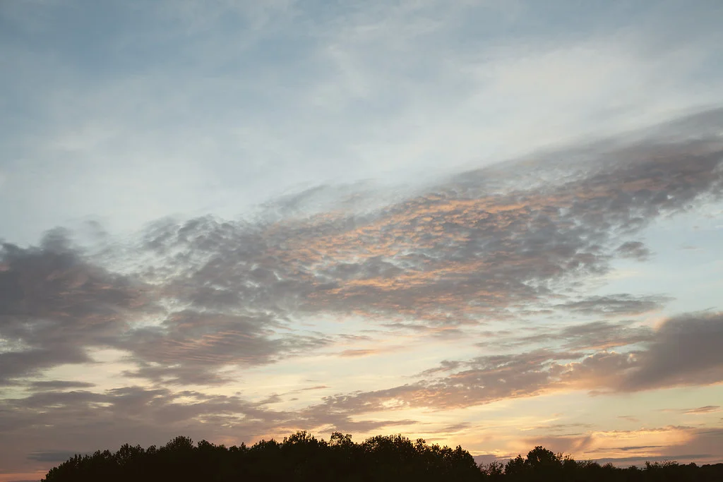 _MG_7876.jpg