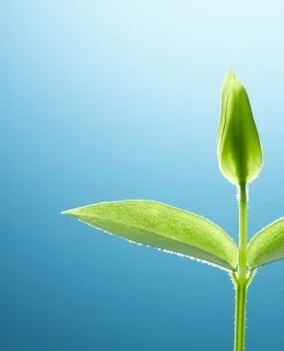 An unencumbered spot