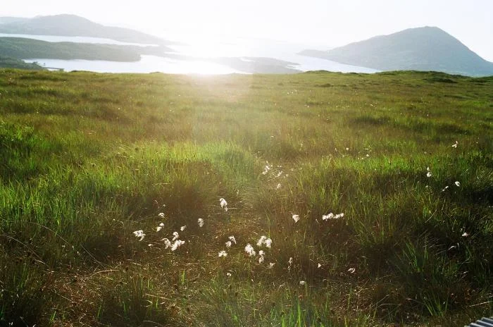 He who would be constant