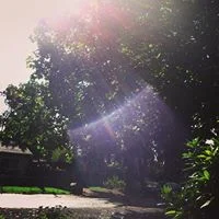 A million birds and unexpected sun.