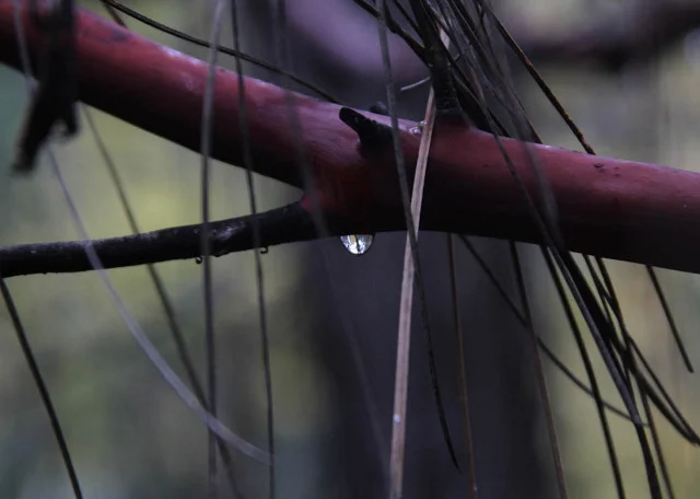 30 Day Meditation Challenge [Begins Nov 1!]