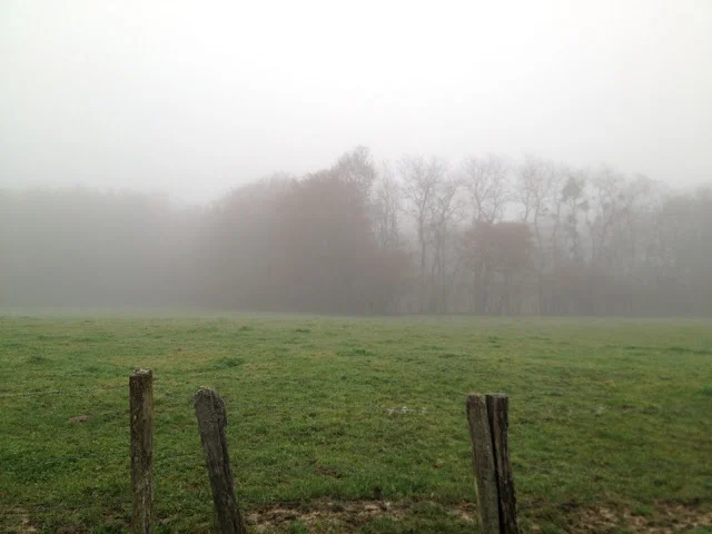 fog.jpg
