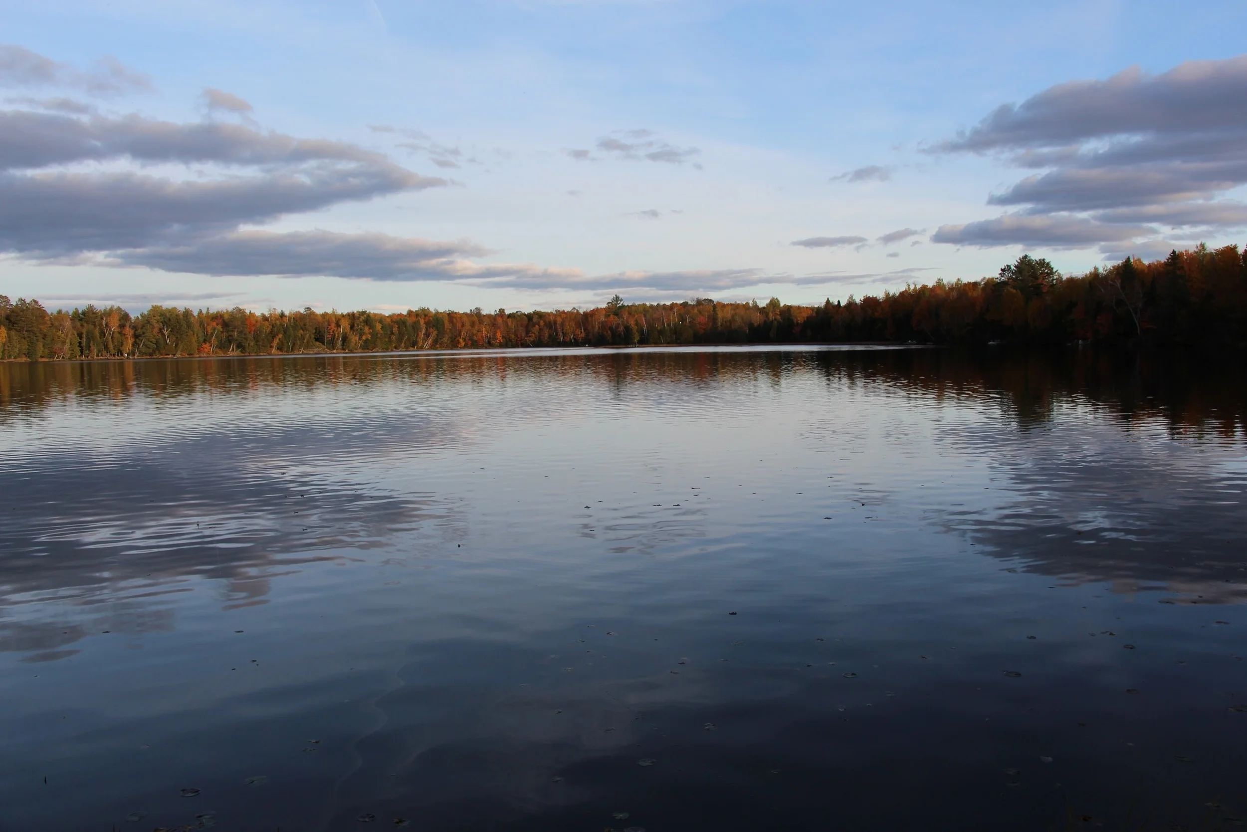 If you missed the Fall Cleanse LIVE