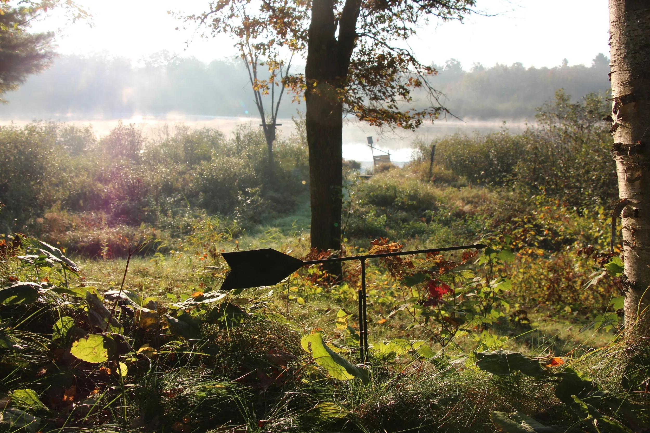 On Spending Energy Resisting