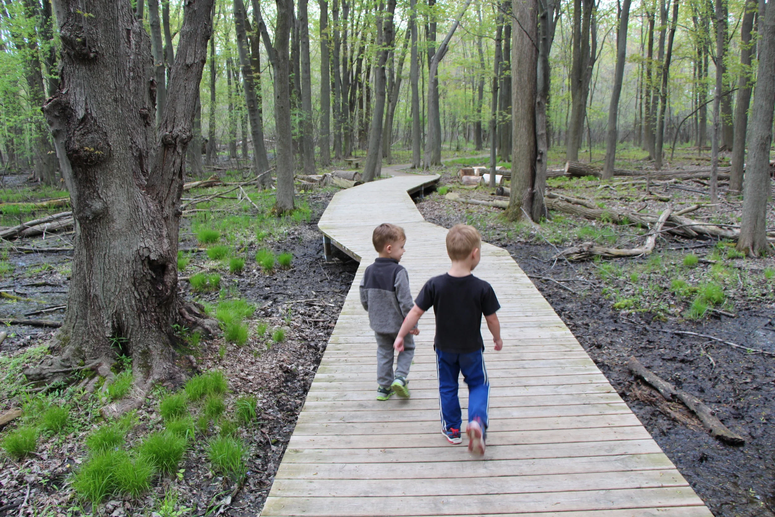 Clearing out the dark corners