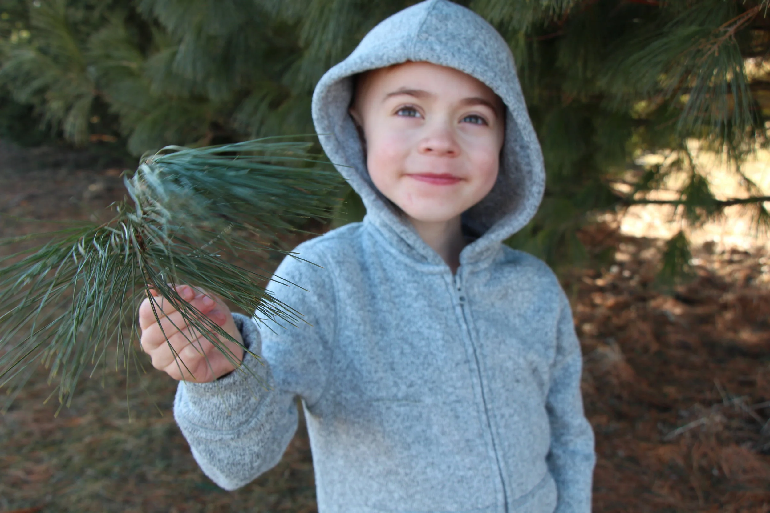Summer School with Mommy