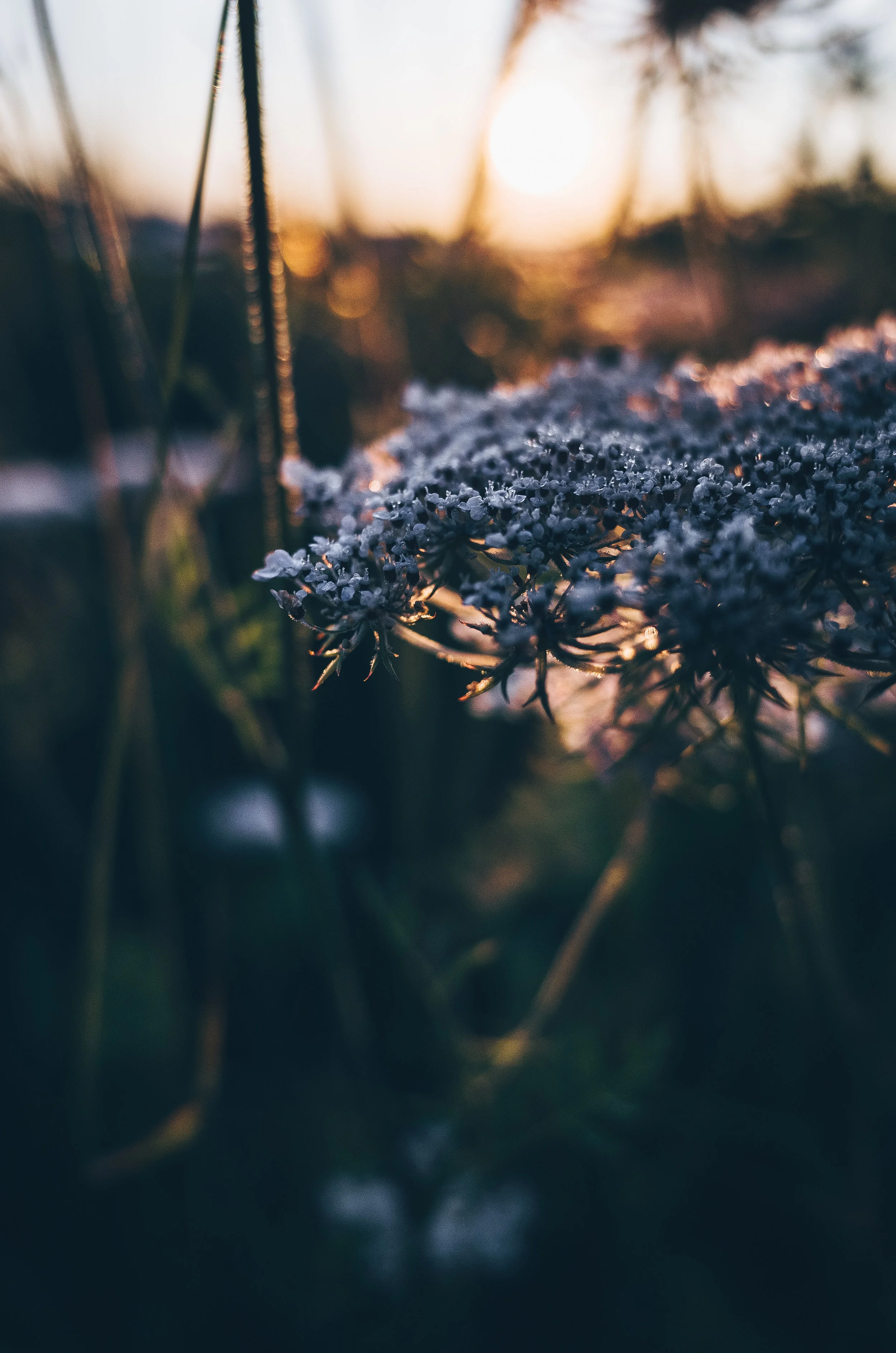 Metanoia + The Problem of Civilization