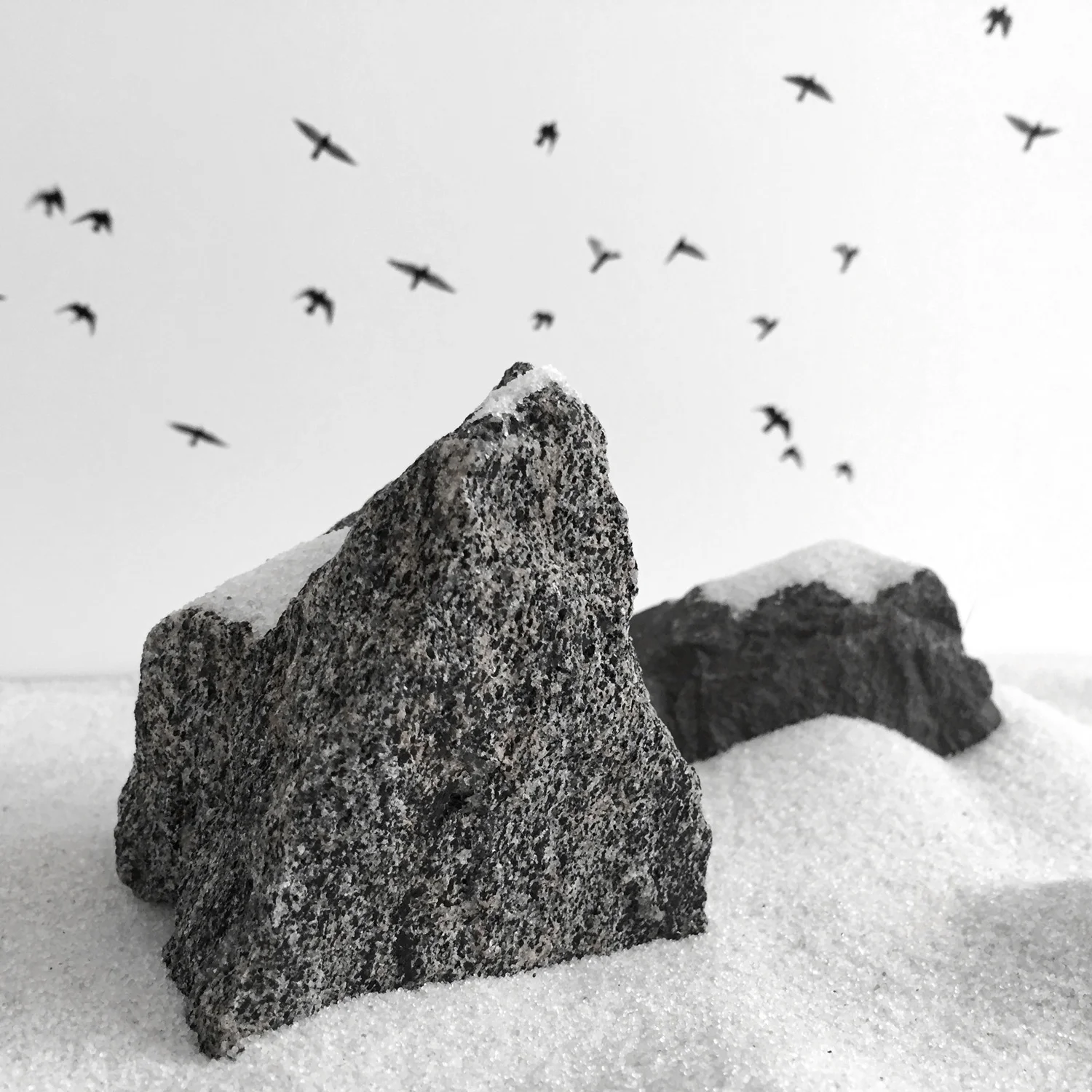 Constructed Landscape