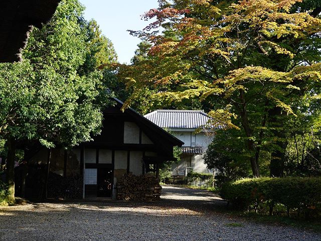 Finally made it to Mashiko and returned home with a greater love of all things Folk Craft &ldquo;minge&rdquo;! Read about the movement in this month&rsquo;s newsletter. Link in bio.
#mashiko #mingei #soetsuyanagi #kawaikanjiro #shijohamada