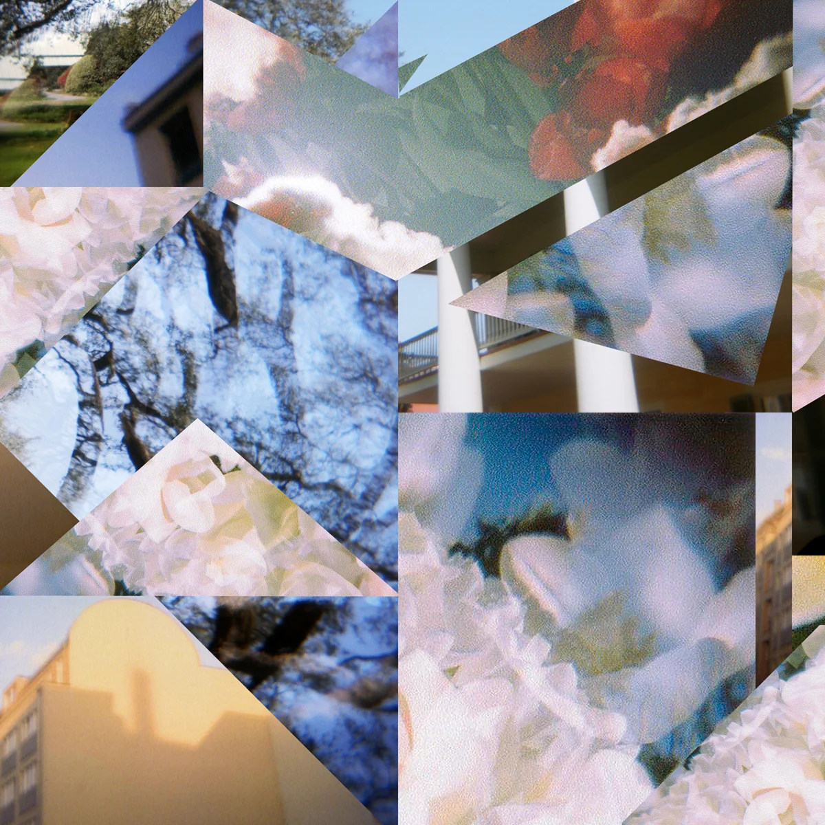 Anna Sparks, In the Clouds, $200
