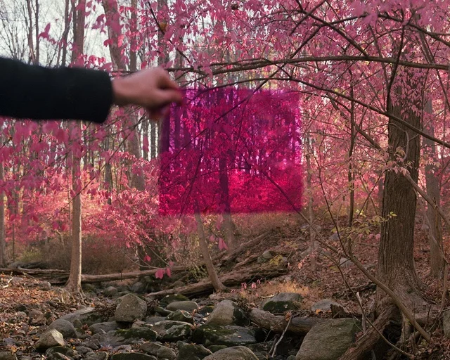 Sydney Krantz, Untitled (pink), $800