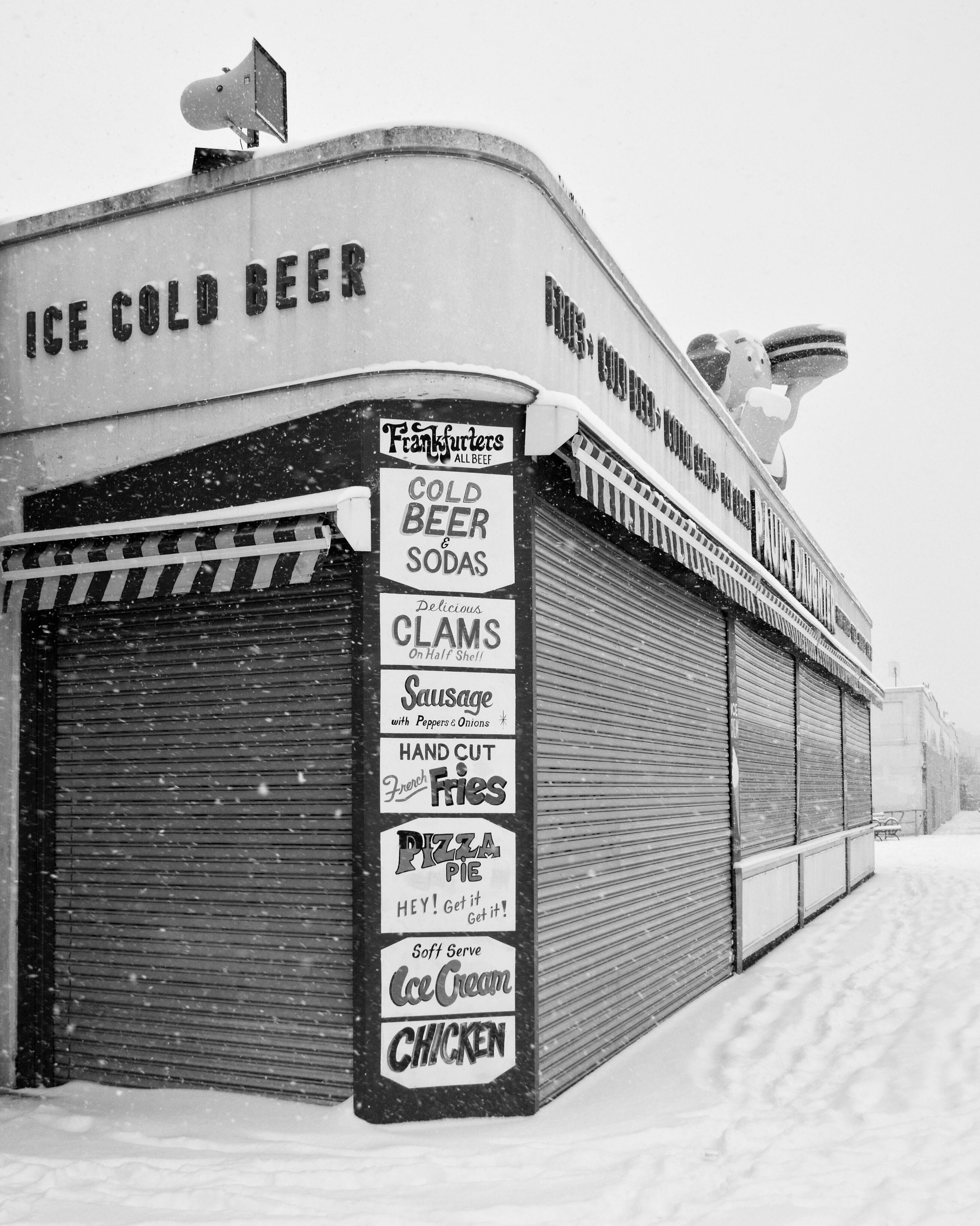 Ashley Landgraf, Snow(y) Coney, $200