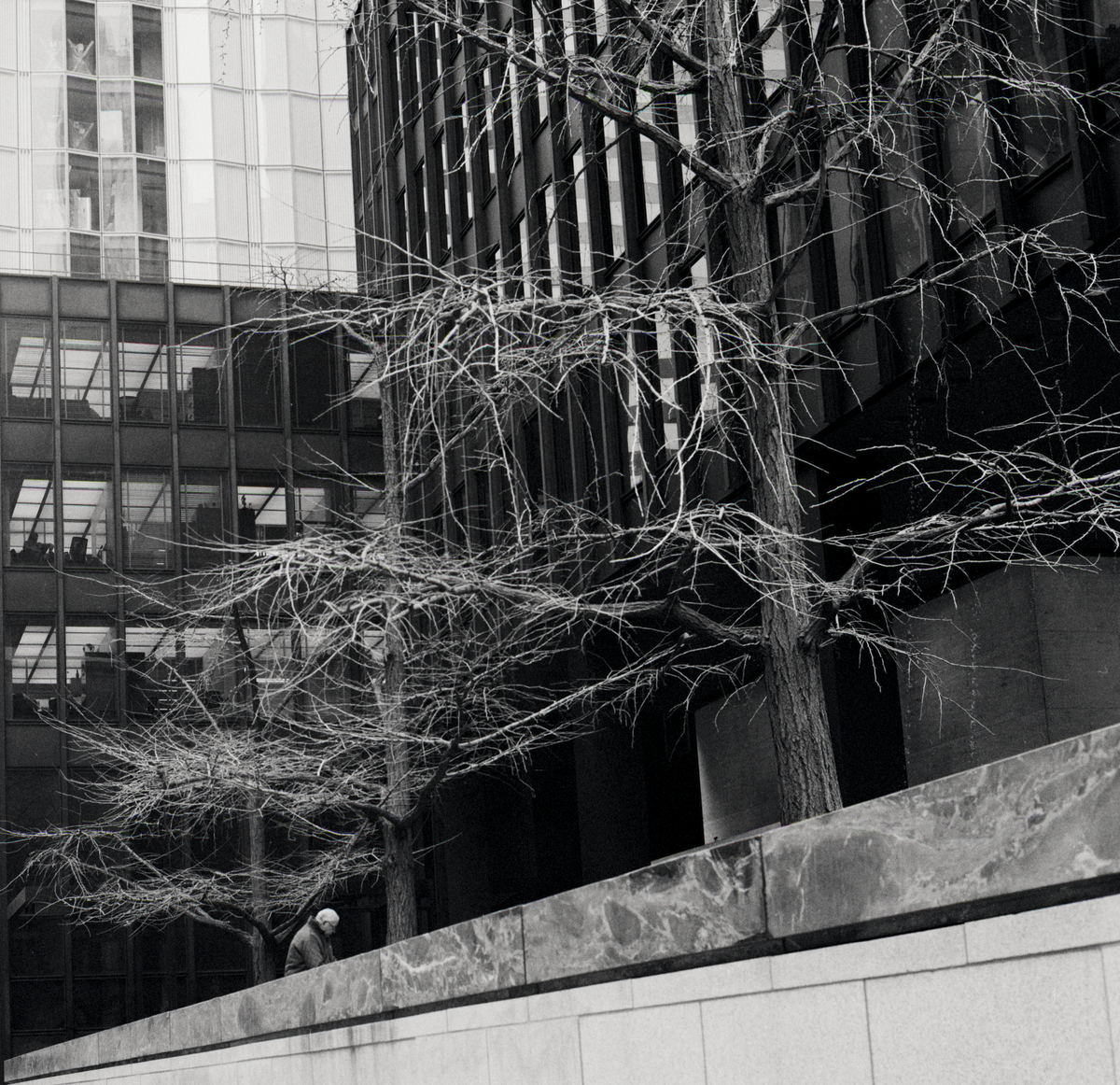 Victor Cohen, Anomie at JP Morgan, $1000