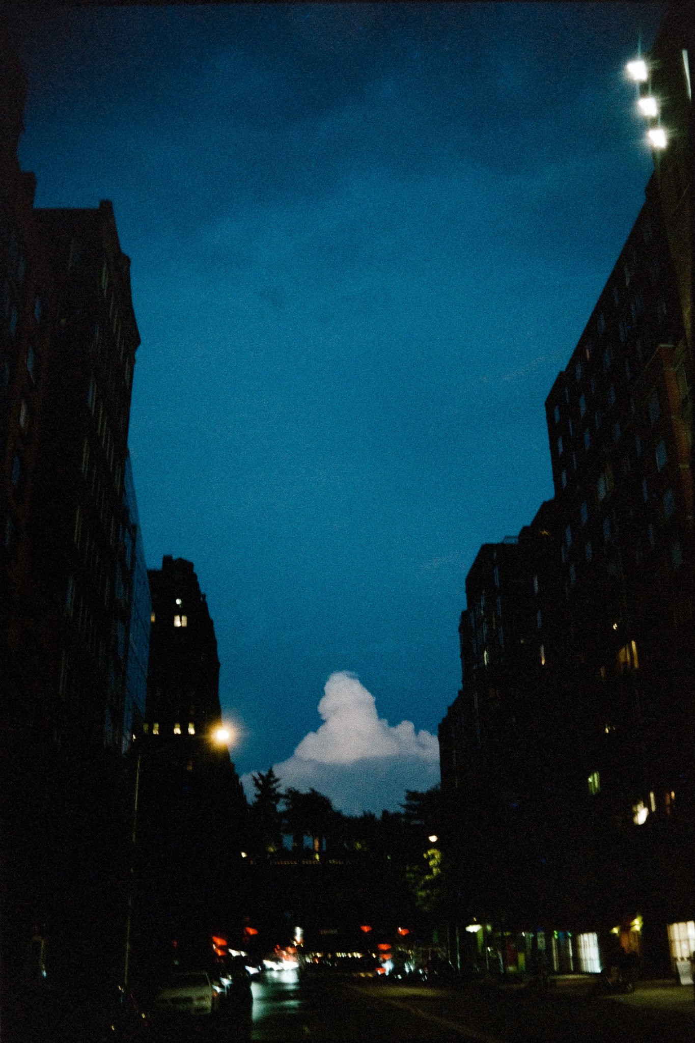 010.jpg