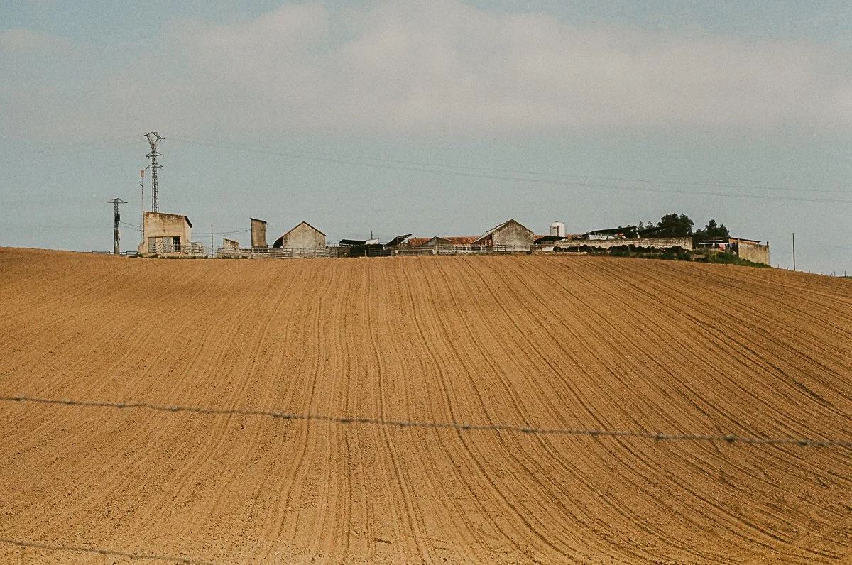 Camino-7.jpg
