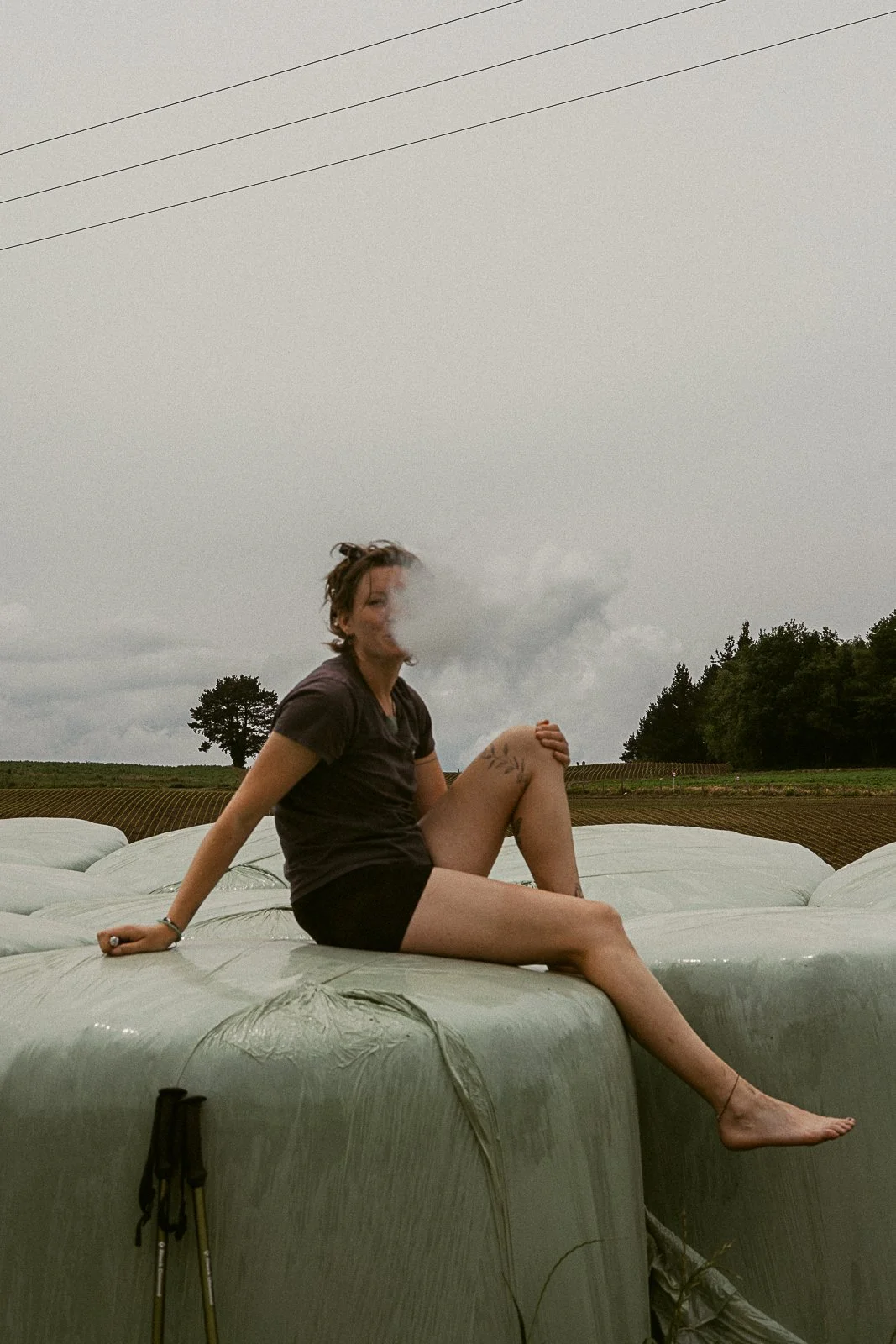 Camino-3.jpg