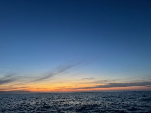 IMG_7930.jpeg