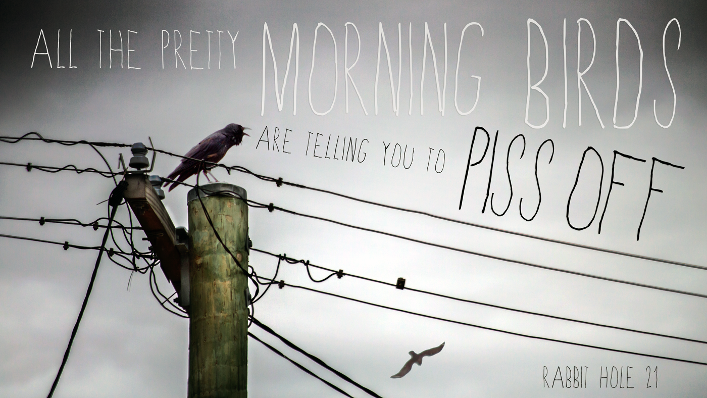 All the pretty morning birds are telling you to PISS OFF!