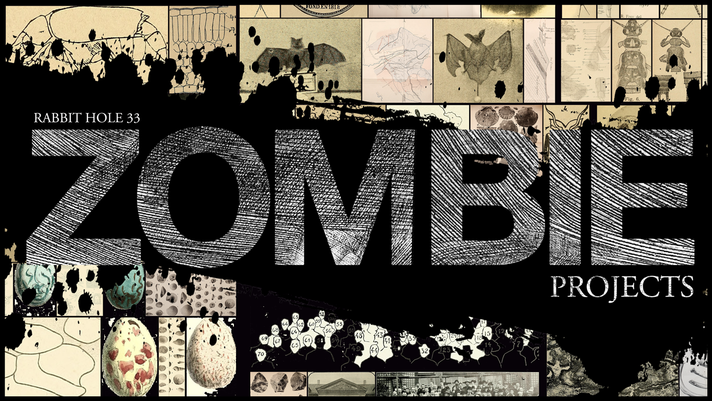 Zombie Projects