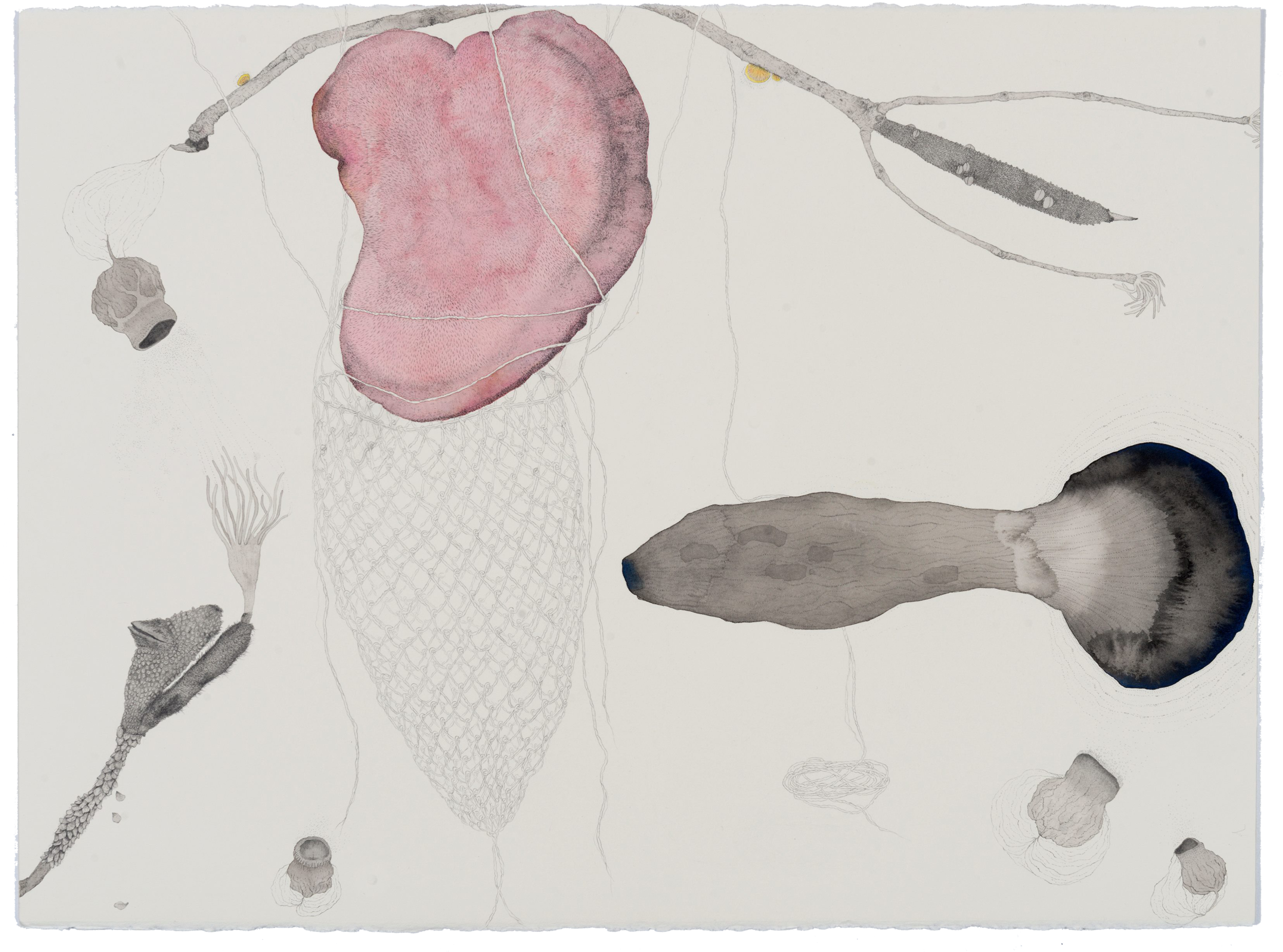 Filum, 2017, ink, graphite and pencil on paper, 57 x 76cm. Photographer: Eva Fernandez