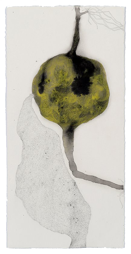 Pullulate, 2017, ink, graphite and pencil on paper, 56 x 27.5 cm Photographer:Eva Fernandez