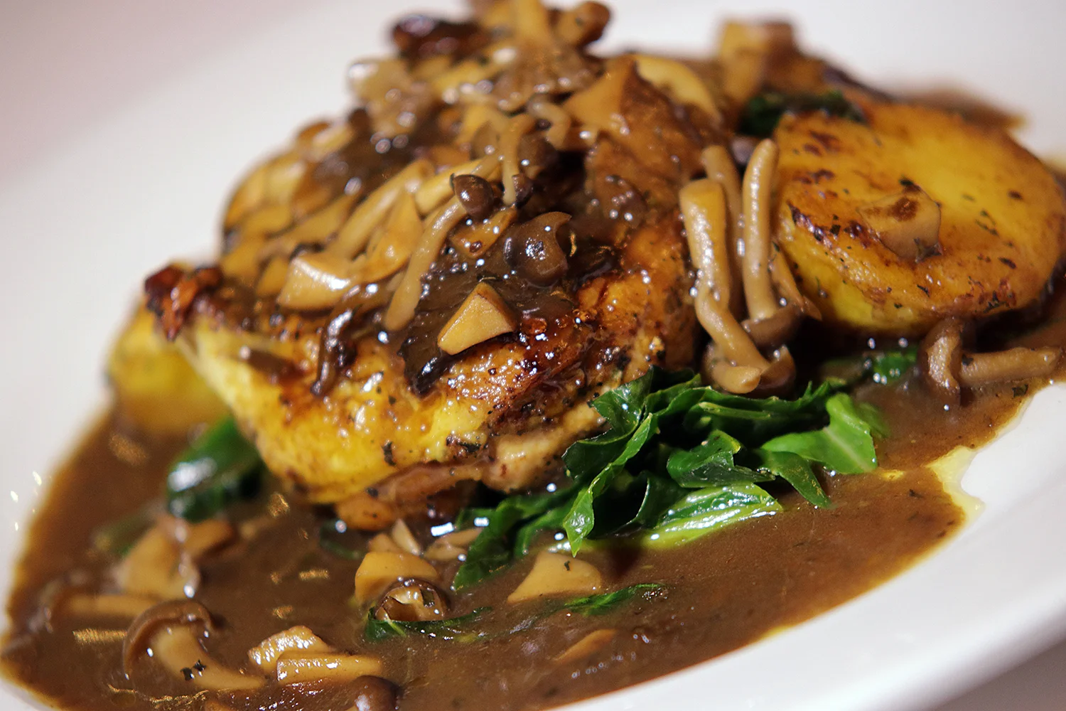 chicken 0513 pro.jpg