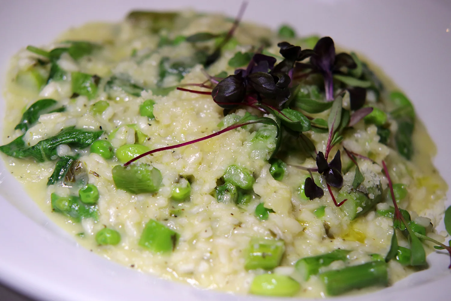 risotto 0476 pro.jpg