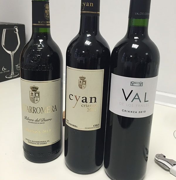 Vinos del Grupo Matarromera - Matarromera Crianza 2013 DO Ribera