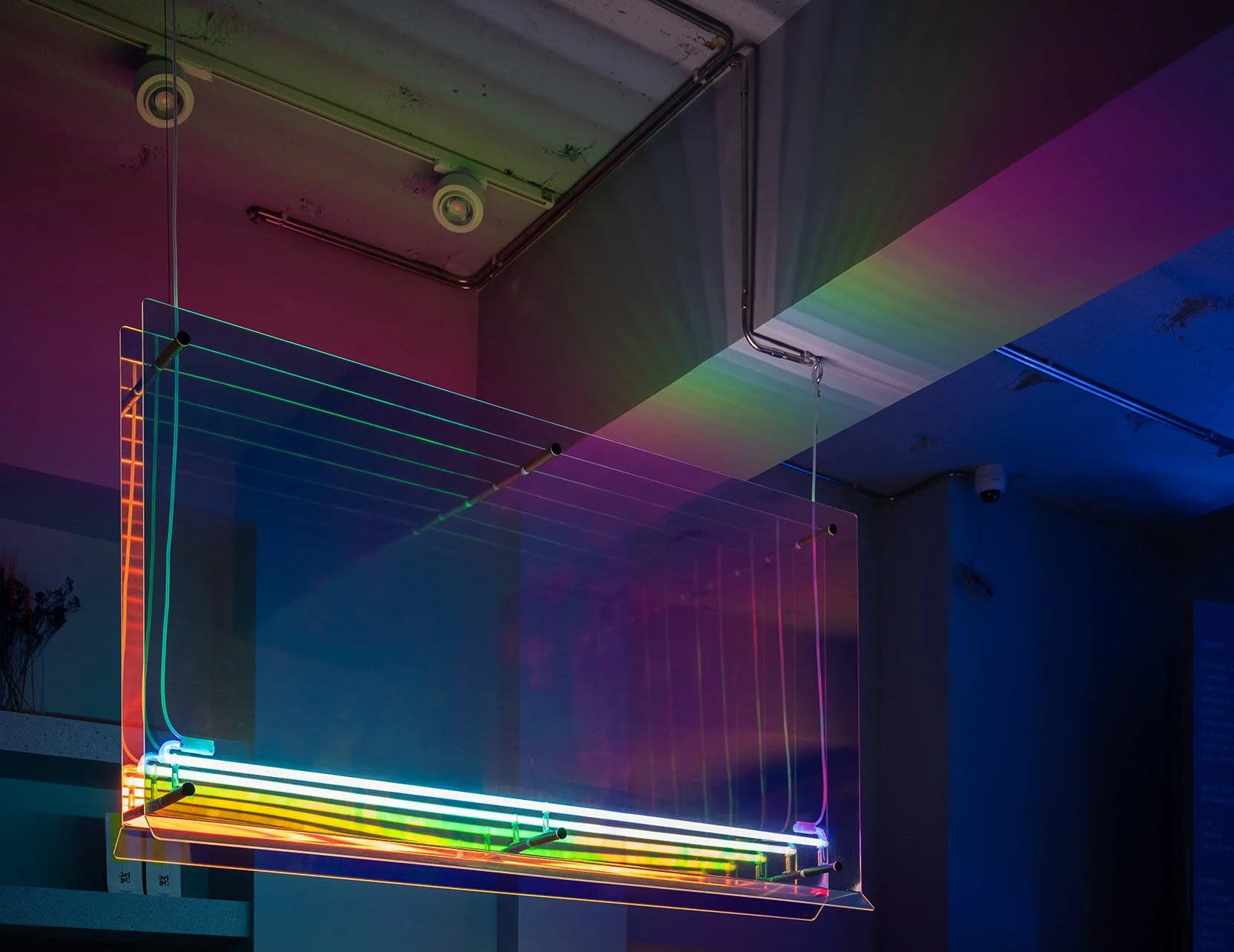 LCO-P_128_IMG_9783_oblicstudio resized.jpg