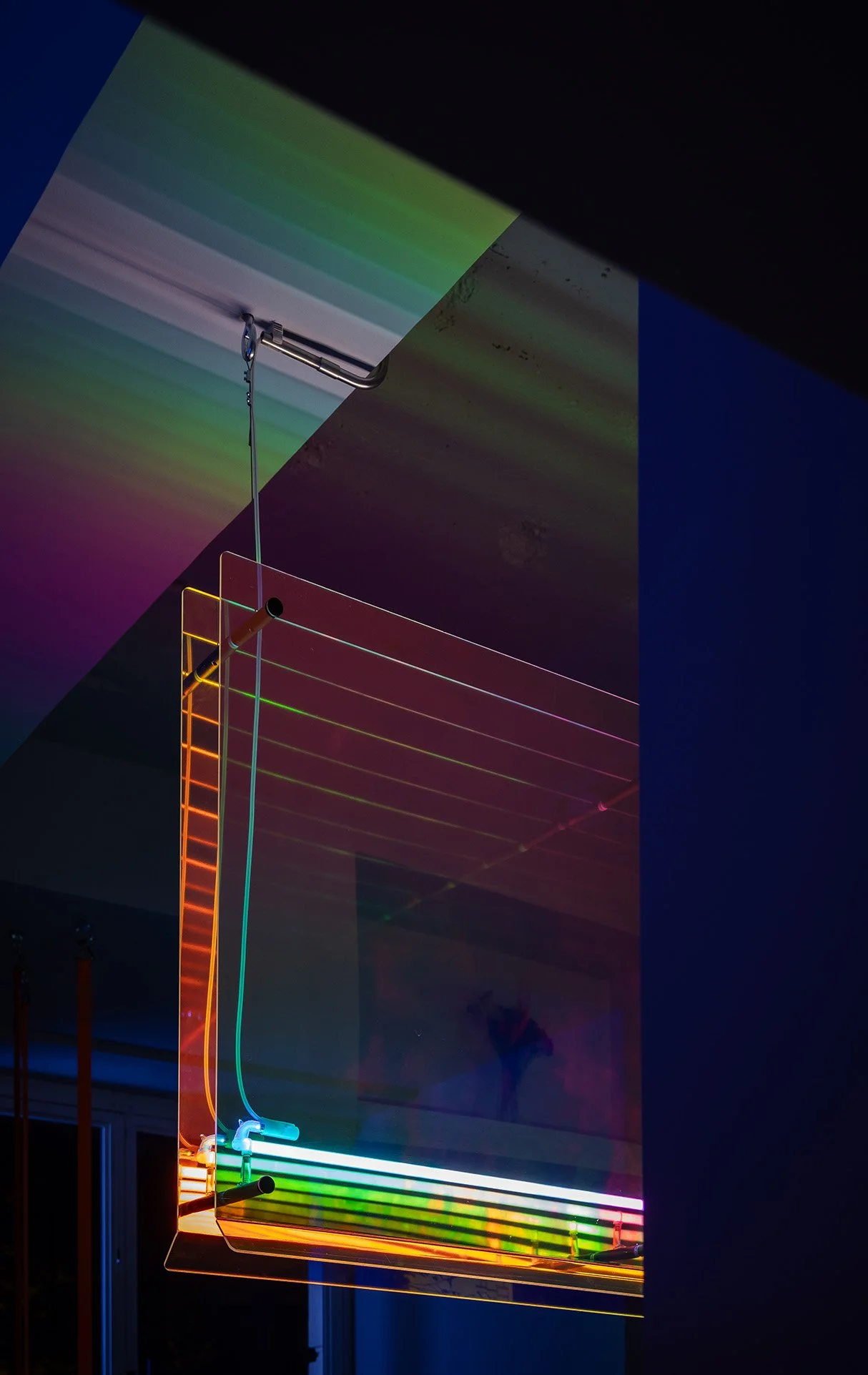 LCO-P_135_IMG_9801_oblicstudio resized.jpg