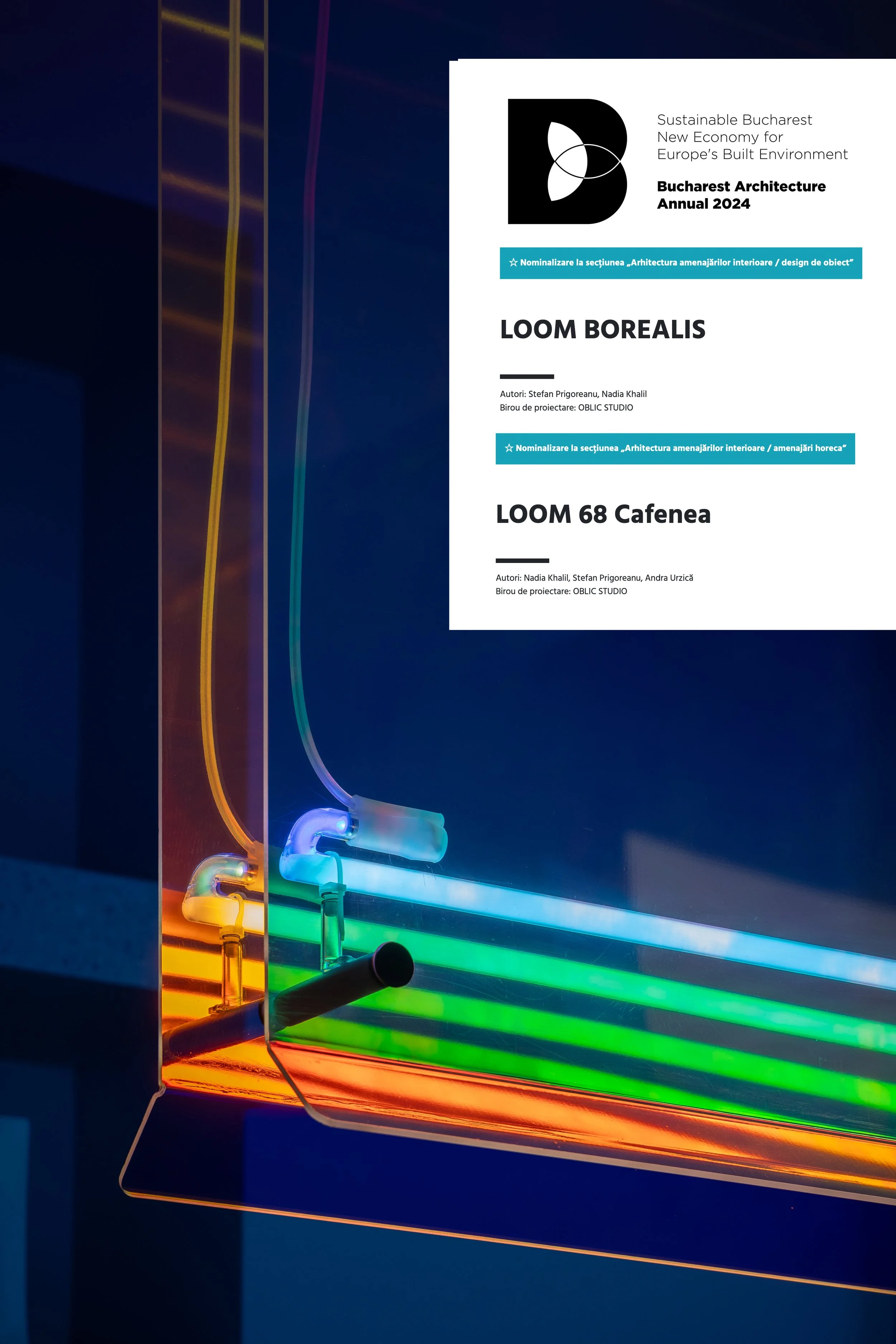 LCO-P_092_IMG_9594_vladpatru copyNOMINALIZARI.jpg