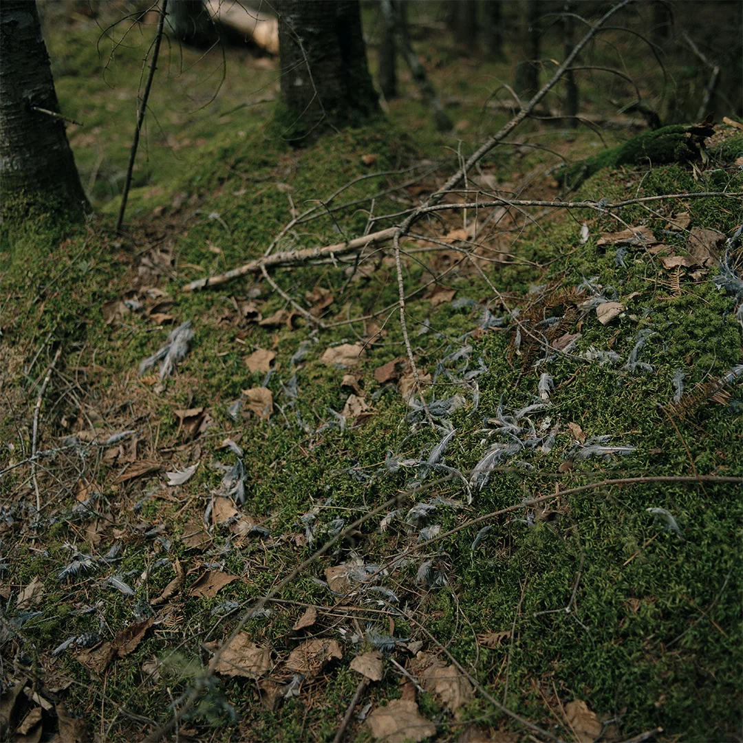 scan53.jpg