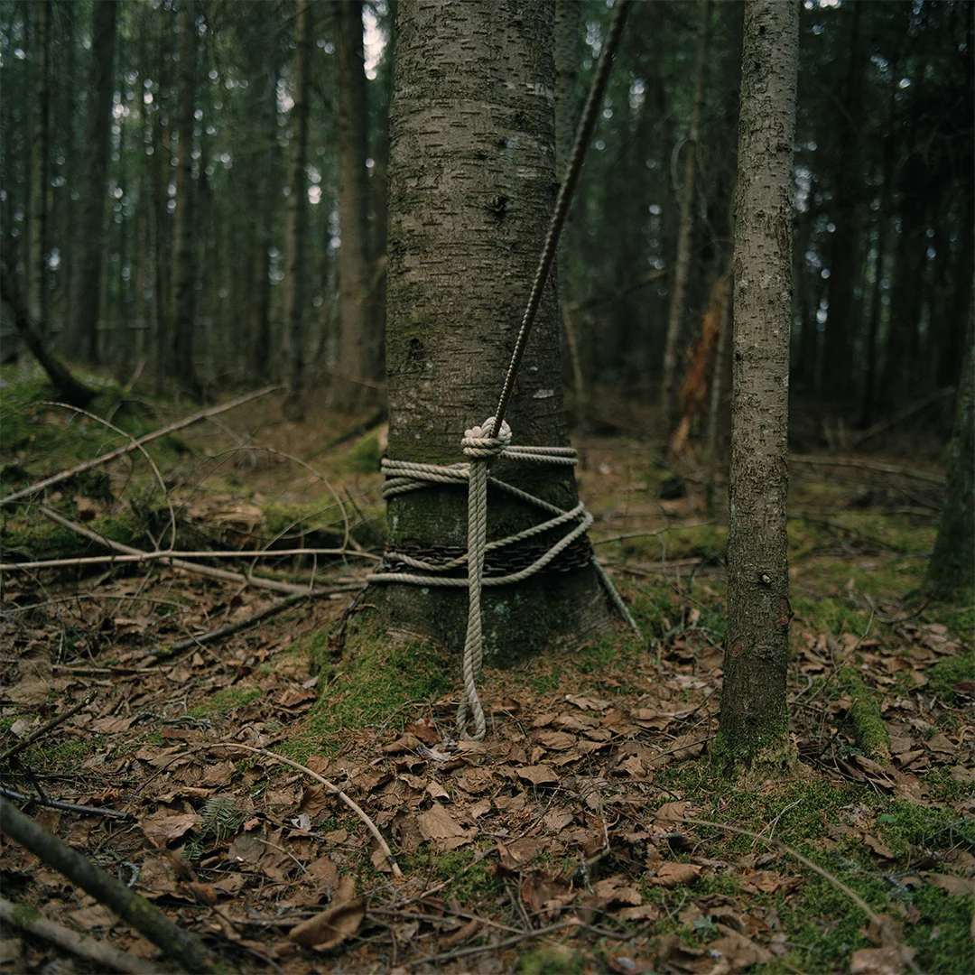 scan54.jpg