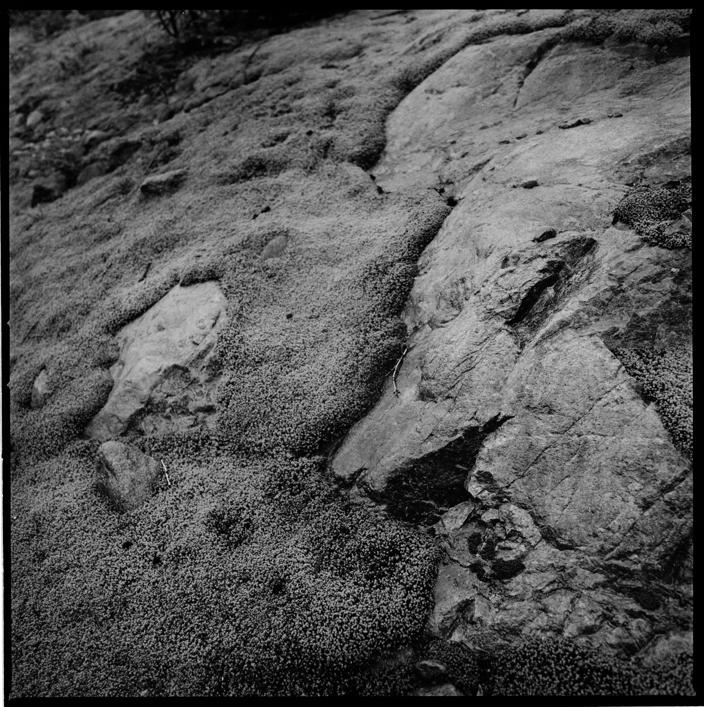 Scan_1.jpg