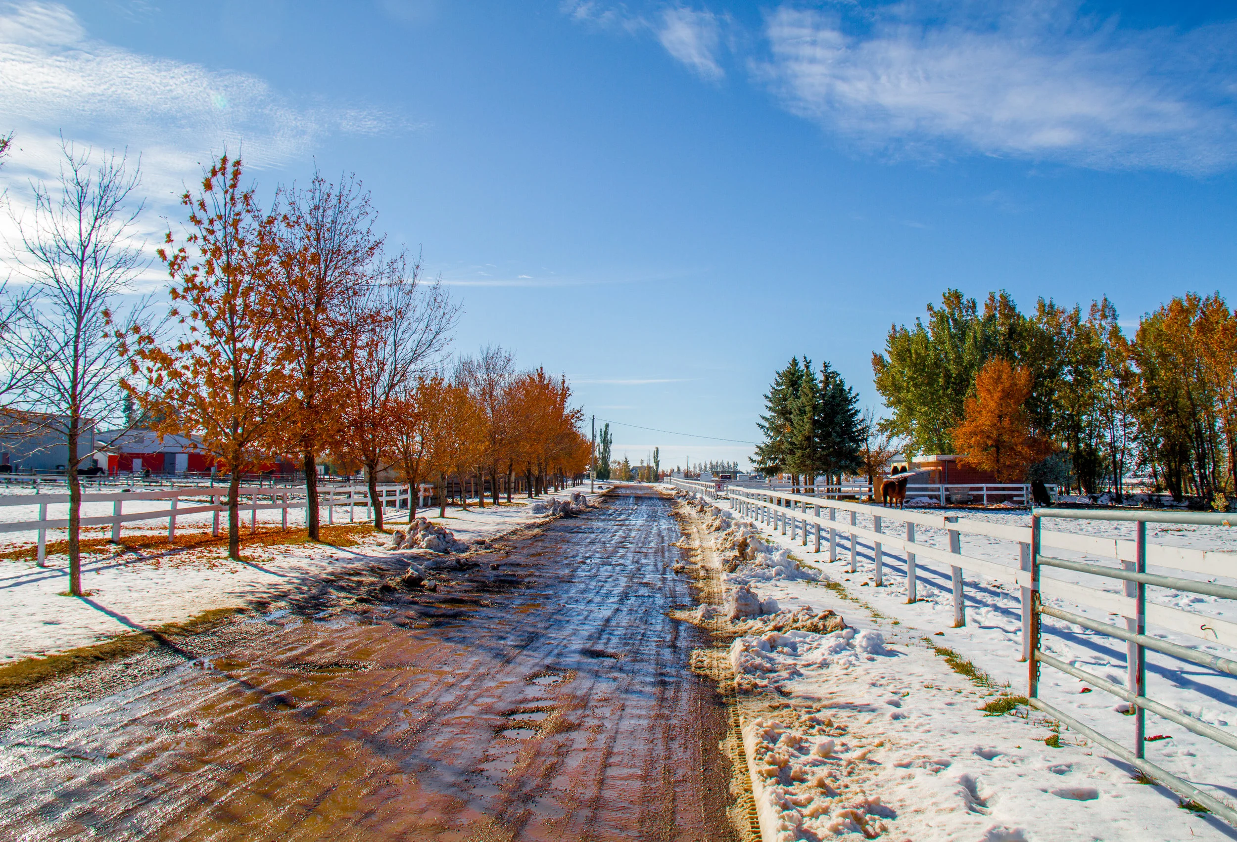 The LTRA driveway. A mix of fall and winter. 