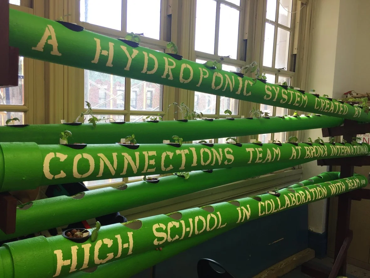 hydroponics green.jpeg