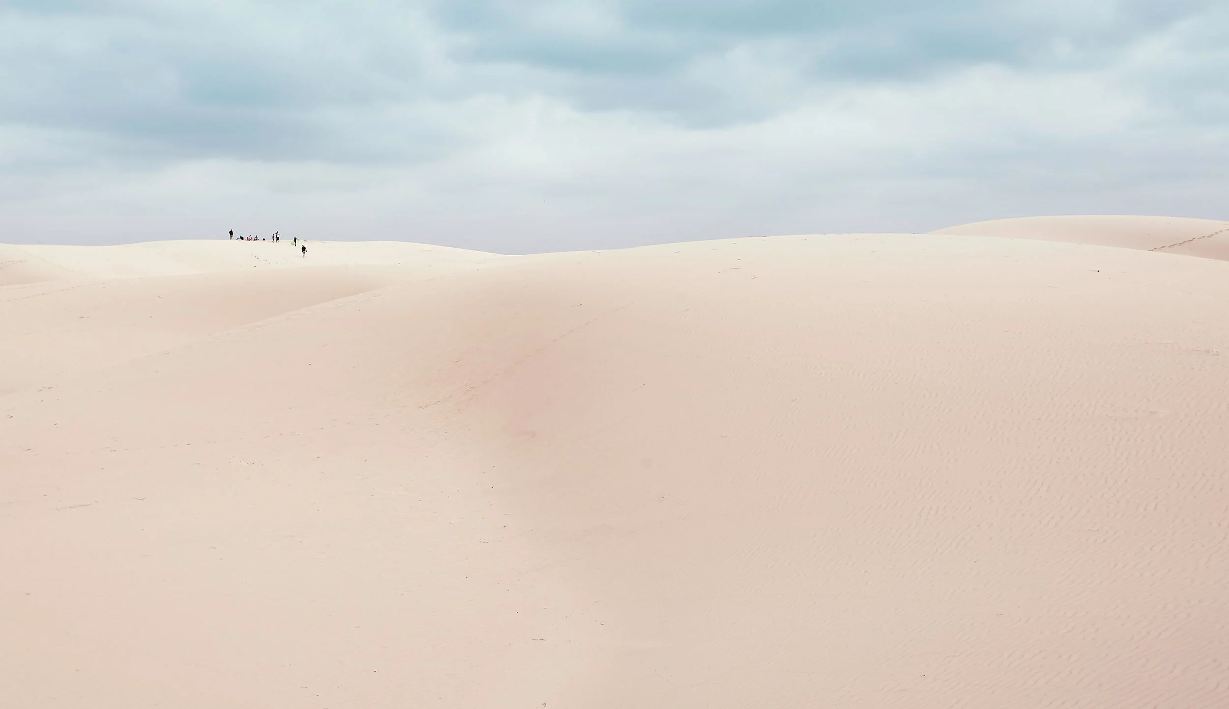 monahans_01.jpg