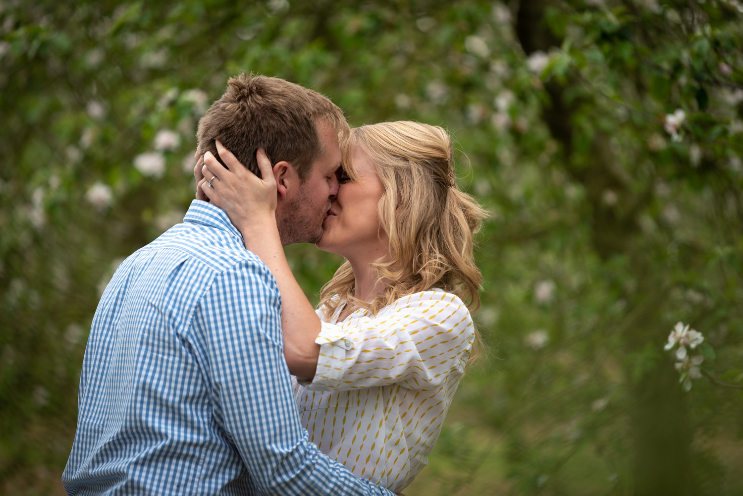 Kissing during apple blossom engagement photos