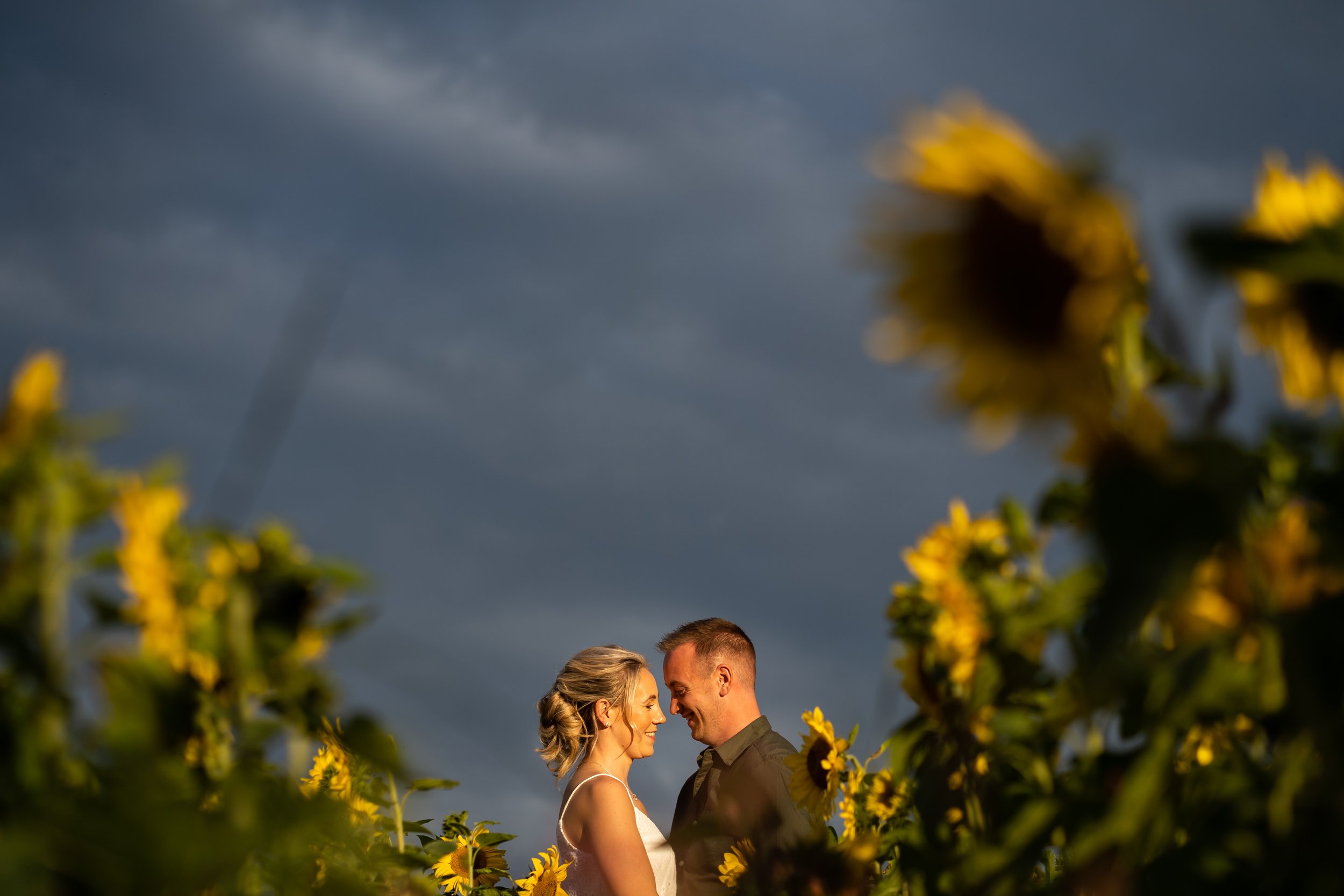 Sunset photo of couple in sunflower field