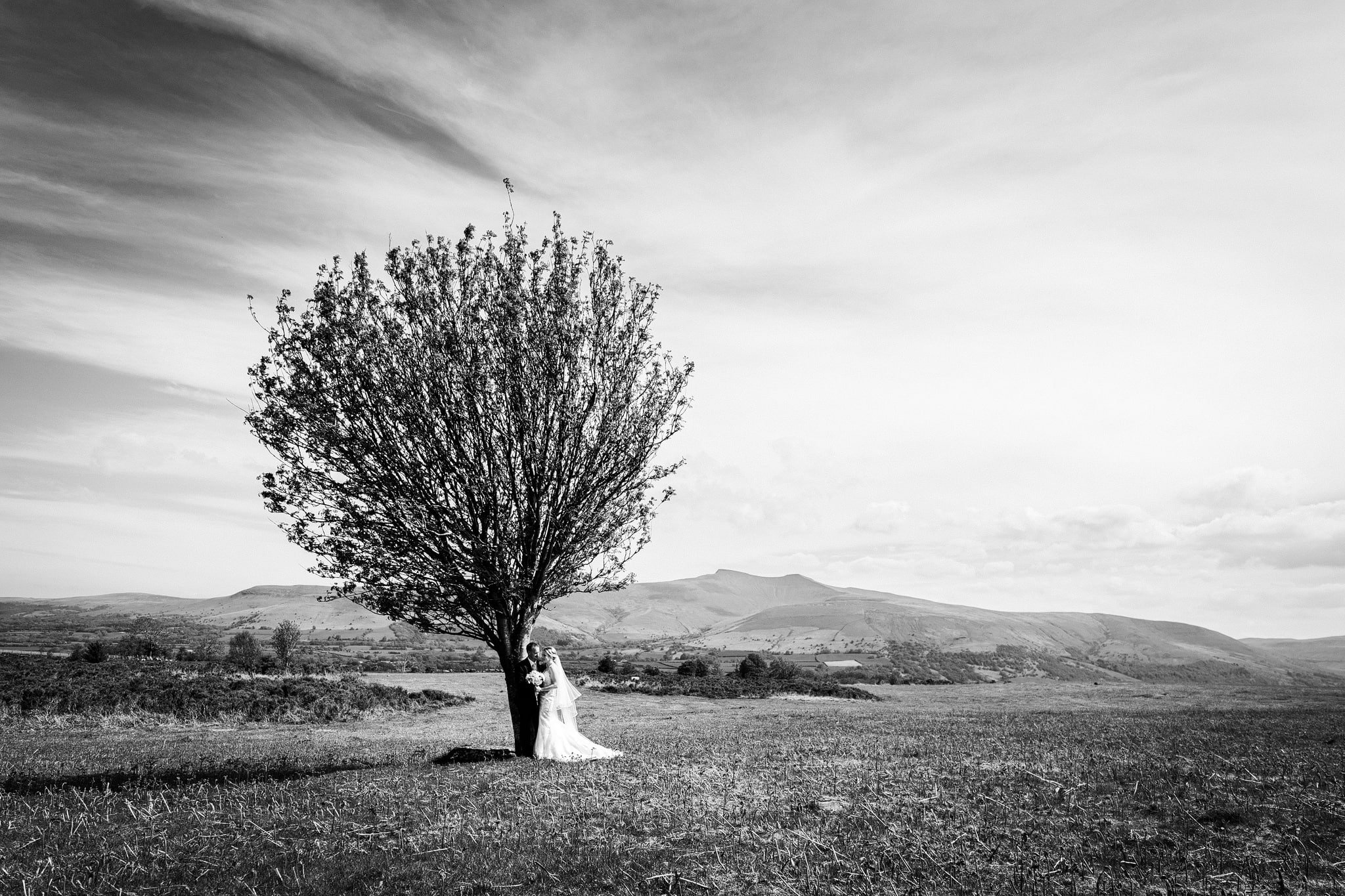 Bride and groom stood in front of tree with Brecon Beacons in background